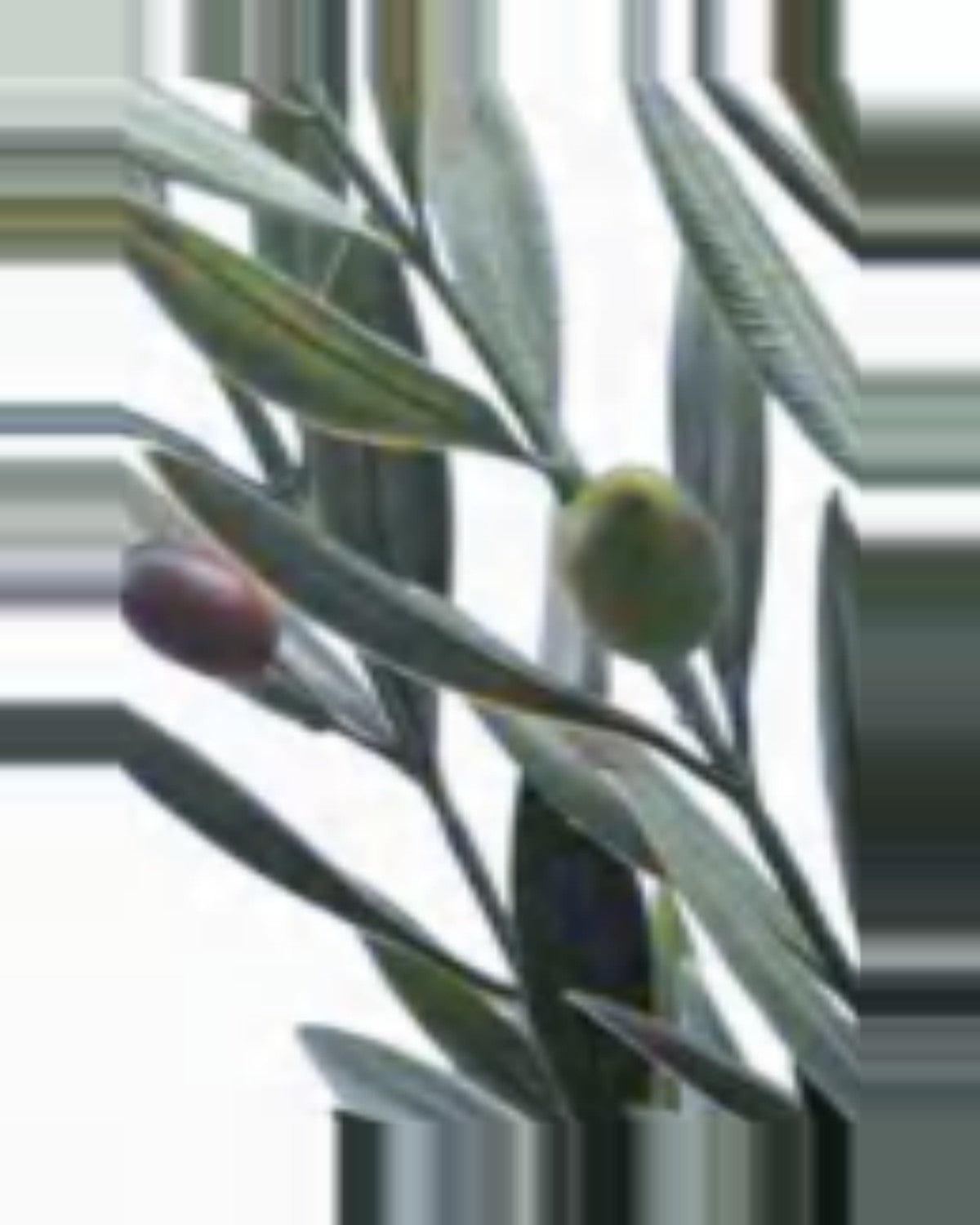 Noto Olive Tree — close-up detail 3, artificial olive tree