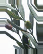 Noto Olive Tree — close-up detail 3, artificial olive tree