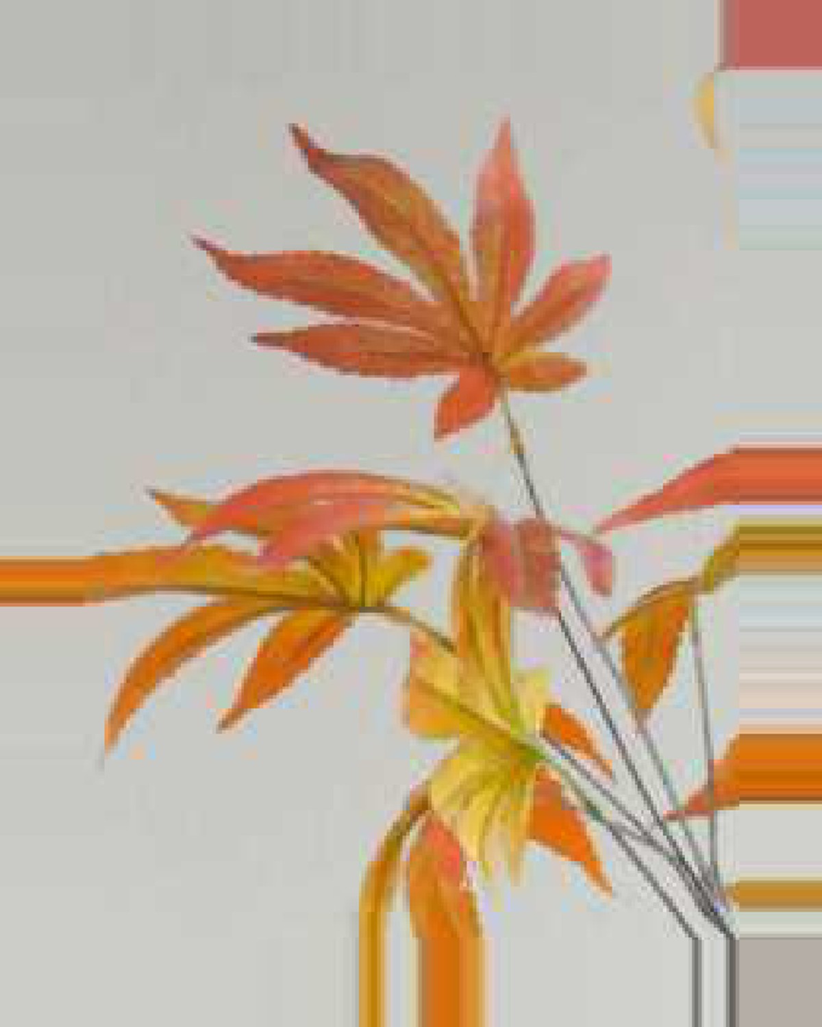 Draille Maple Tree Fake Tree Plants — close-up detail 3, artificial maple tree fake tree plants