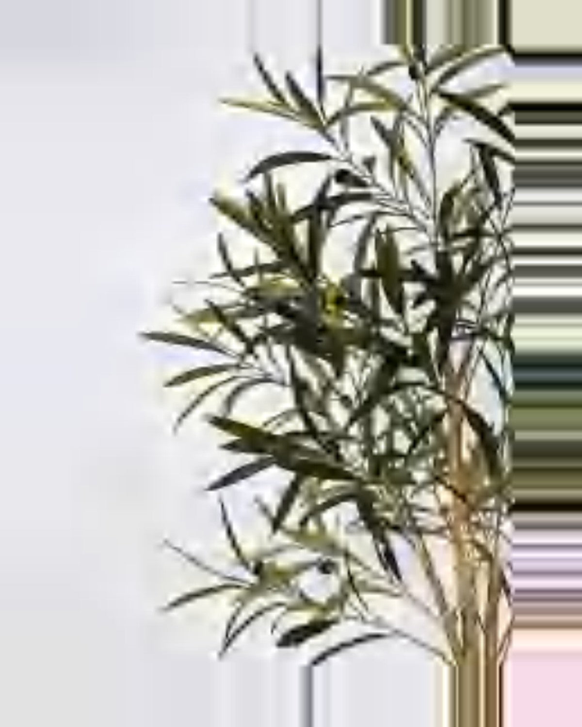Gallipoli Olive Tree — close-up detail 3, artificial olive tree