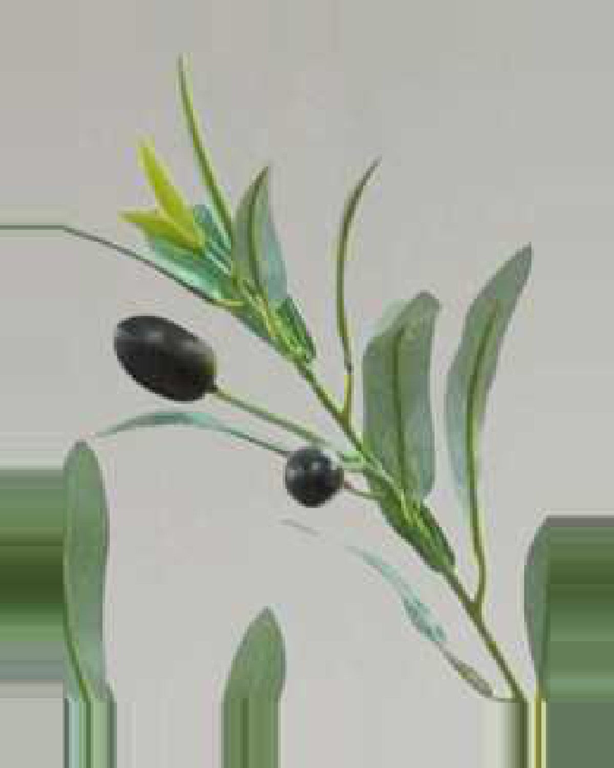 Sienese Olive Tree — close-up detail 3, artificial olive tree