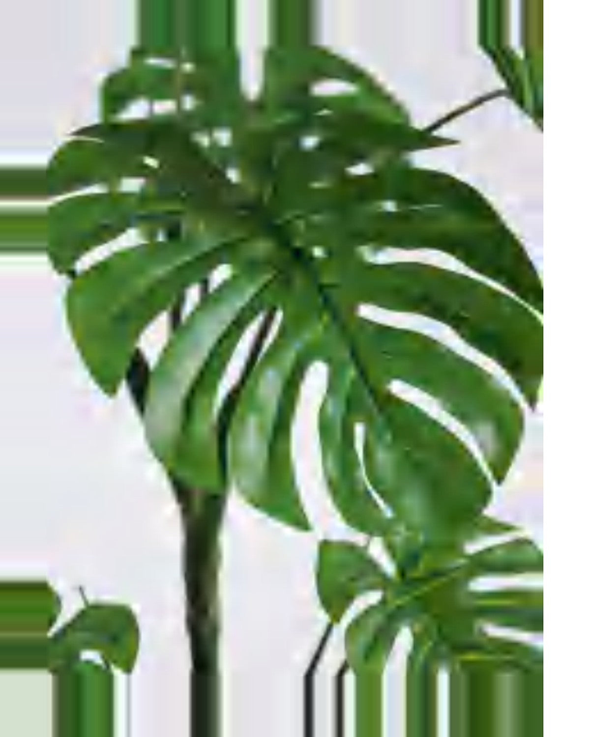 Rosa Monstera Plant — close-up detail 3, artificial monstera plant