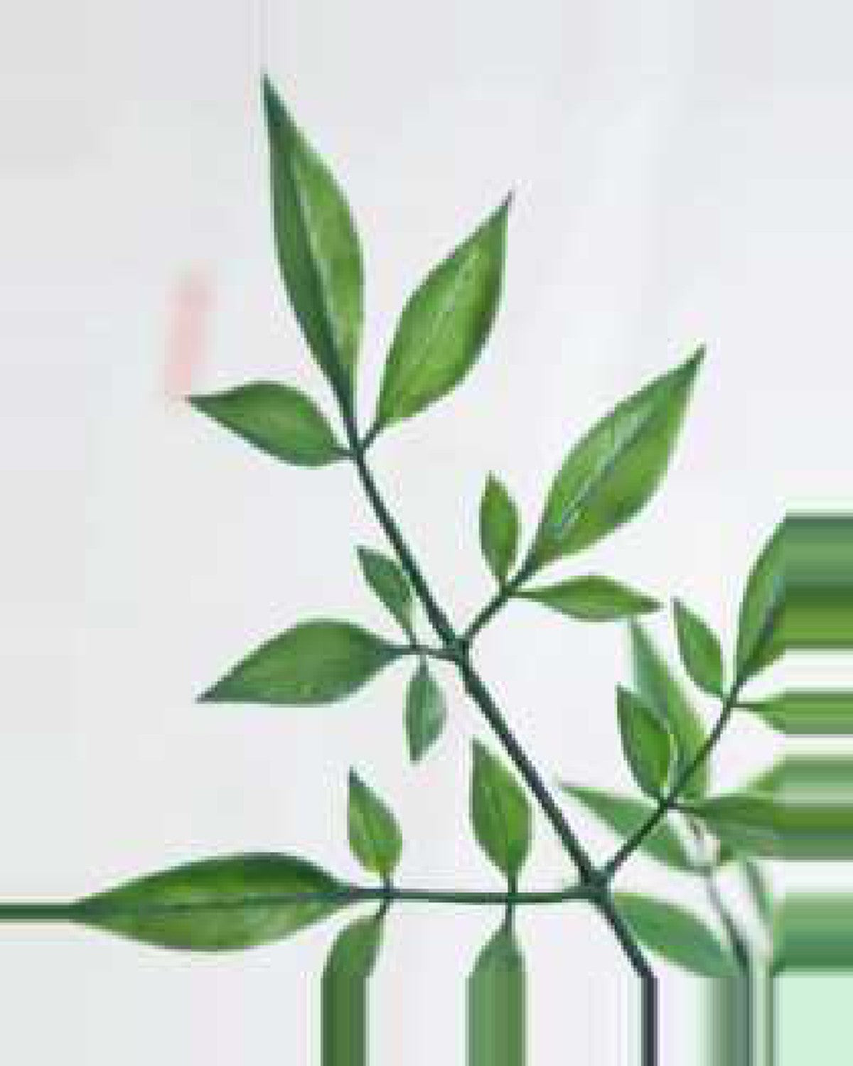 Terra Nandina Plant — close-up detail 3, artificial nandina plant