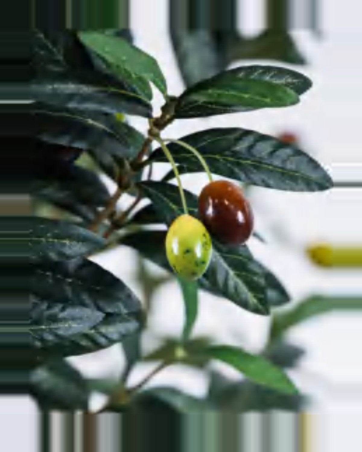 Ancona Olive Tree — close-up detail 3, artificial olive tree