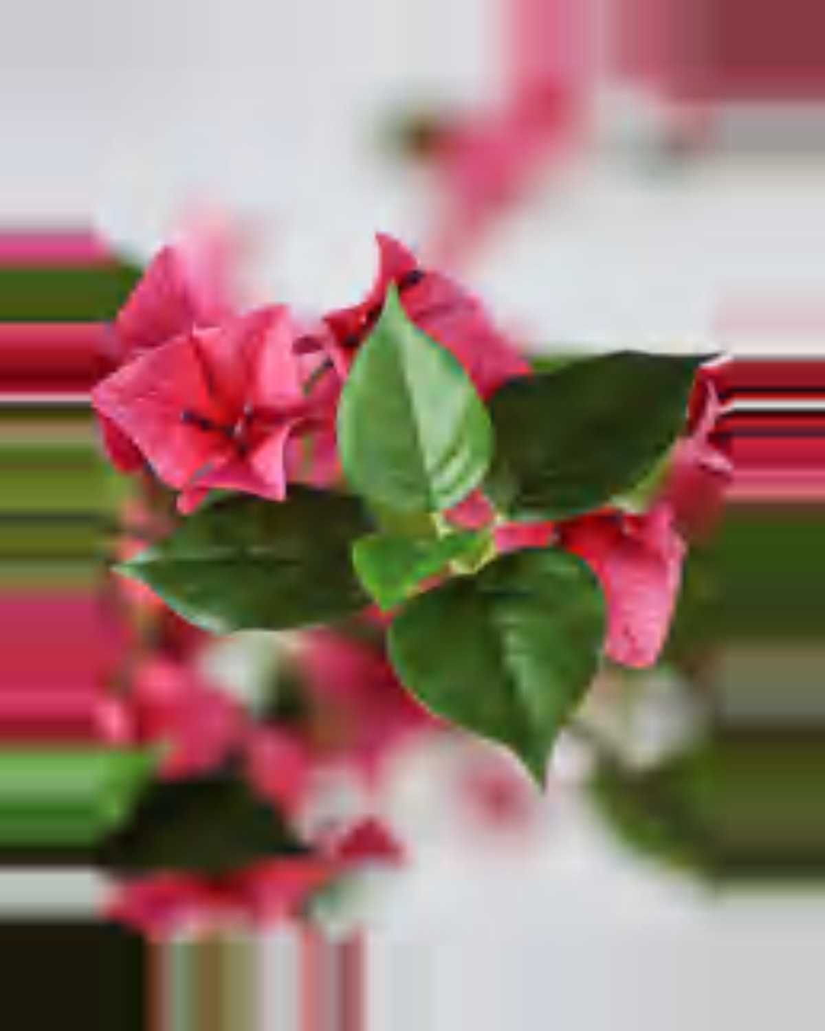 Ambra Bougainvillea Tree — close-up detail 3, artificial bougainvillea tree