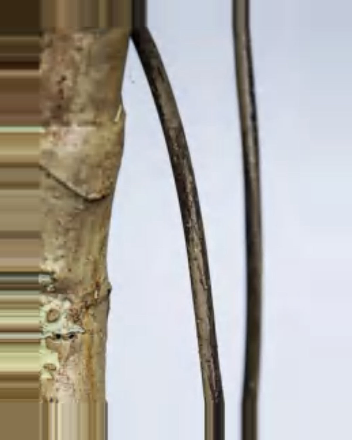 Ambra Monstera Plant — close-up detail 3, artificial monstera plant