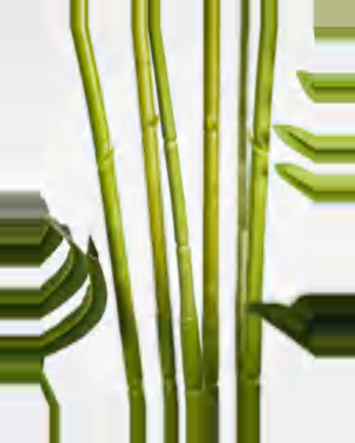 Mistral Areca Palm Tree — close-up detail 3, artificial areca palm tree
