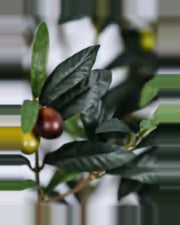 Todi Olive Tree — close-up detail 3, artificial olive tree