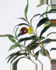 Ancona Olive Tree — close-up detail 8, artificial olive tree