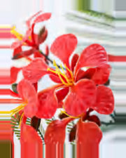 Argilla Royal Poinciana Tree — close-up detail 3, artificial royal poinciana tree