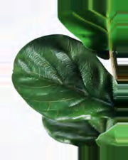 Draille Fiddle Leaf Fig Tree — close-up detail 3, artificial fiddle leaf fig tree