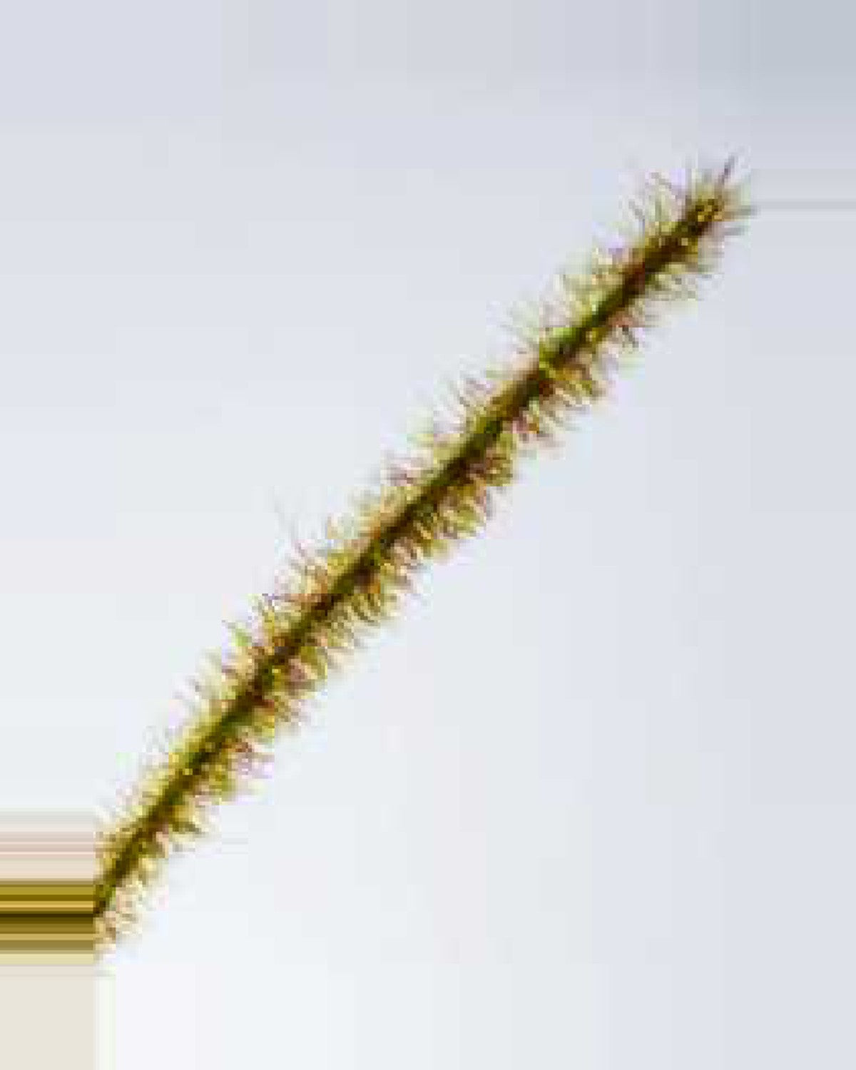 Sabbia Onion Grass — close-up detail 3, artificial onion grass
