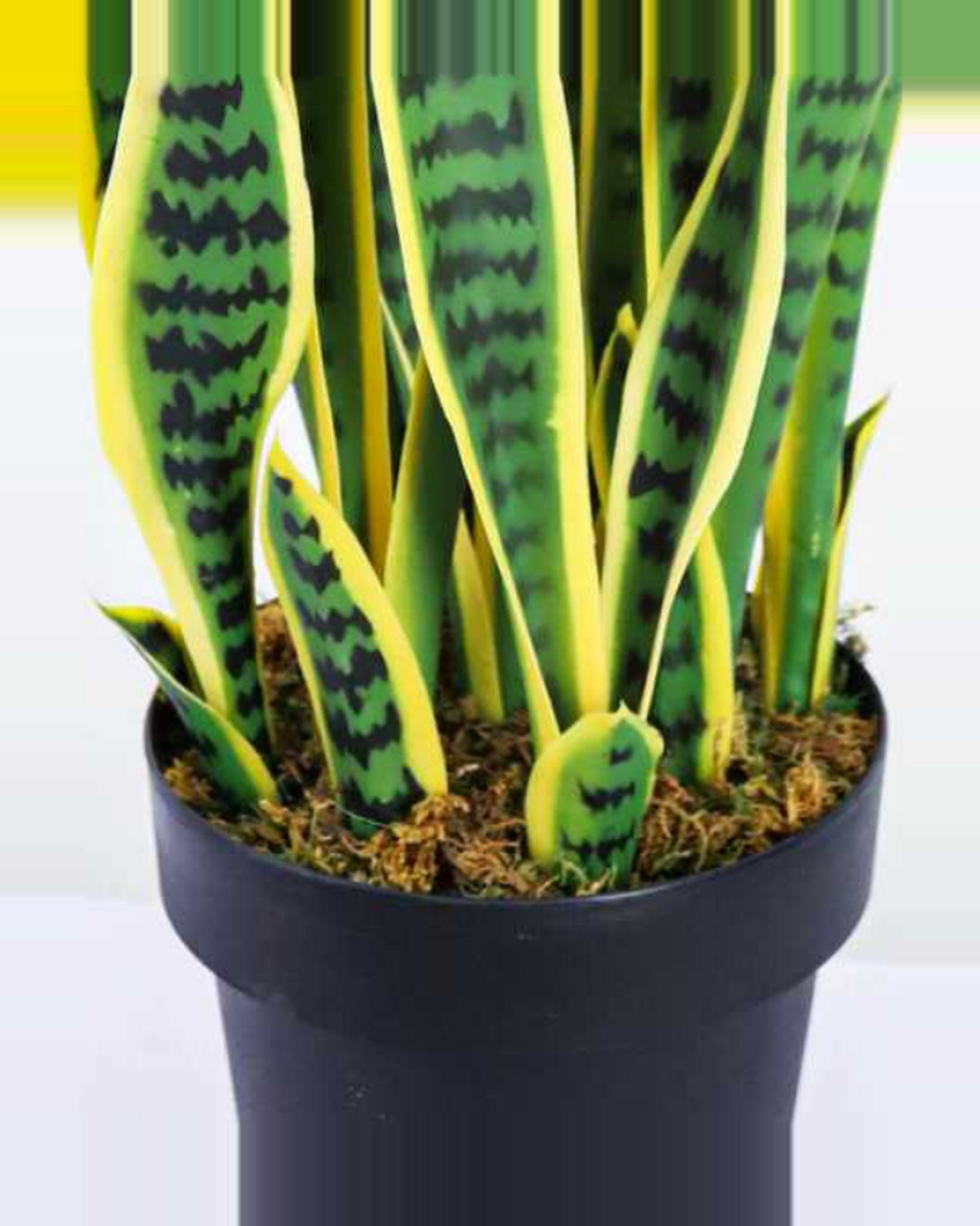 Cabanon Snake Plant — close-up detail 3, artificial snake plant