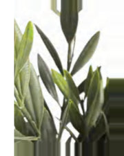 Ostuni Olive Tree — close-up detail 3, artificial olive tree