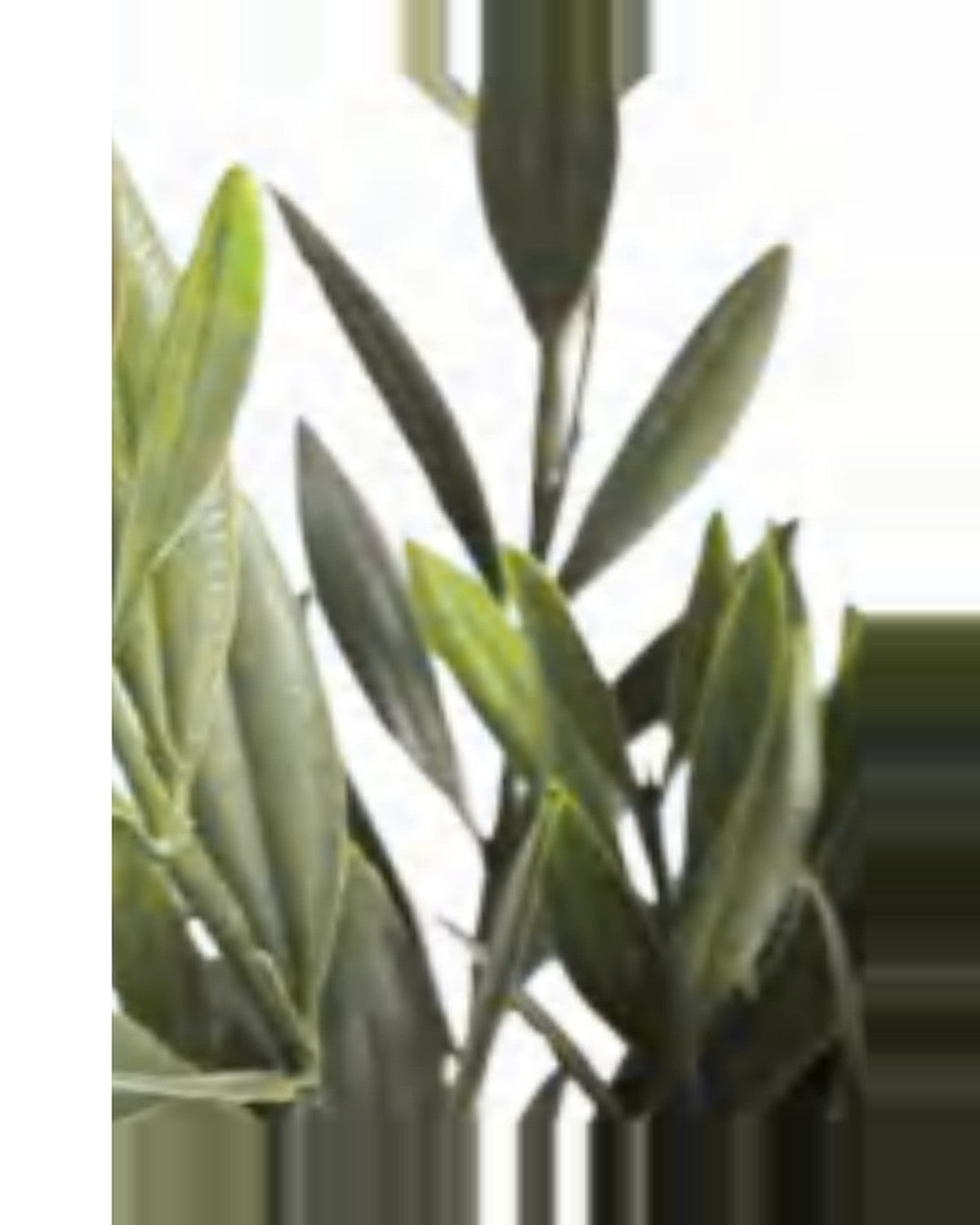 Ostuni Olive Tree — close-up detail 3, artificial olive tree