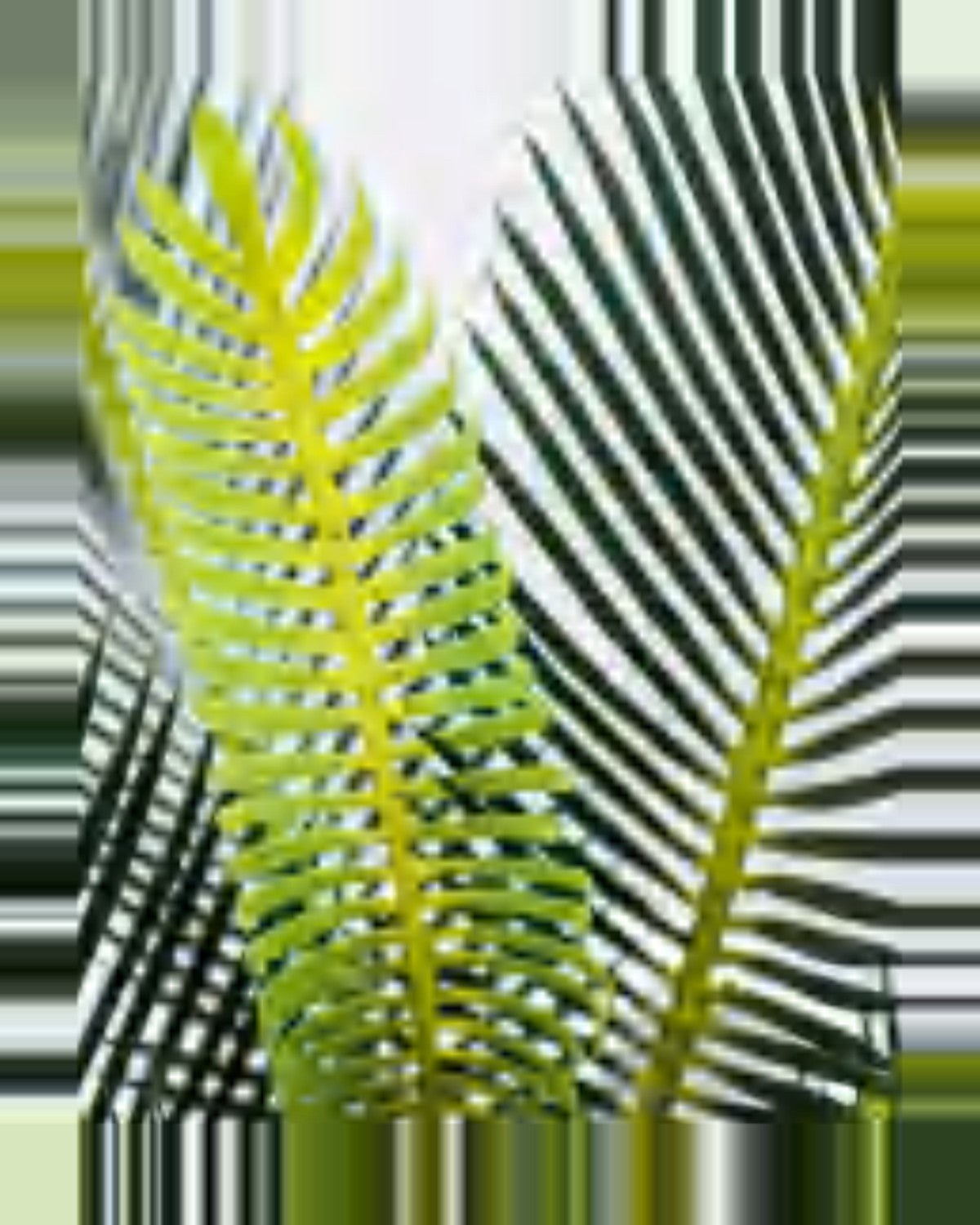 Lauze Sago Palm — close-up detail 3, artificial sago palm