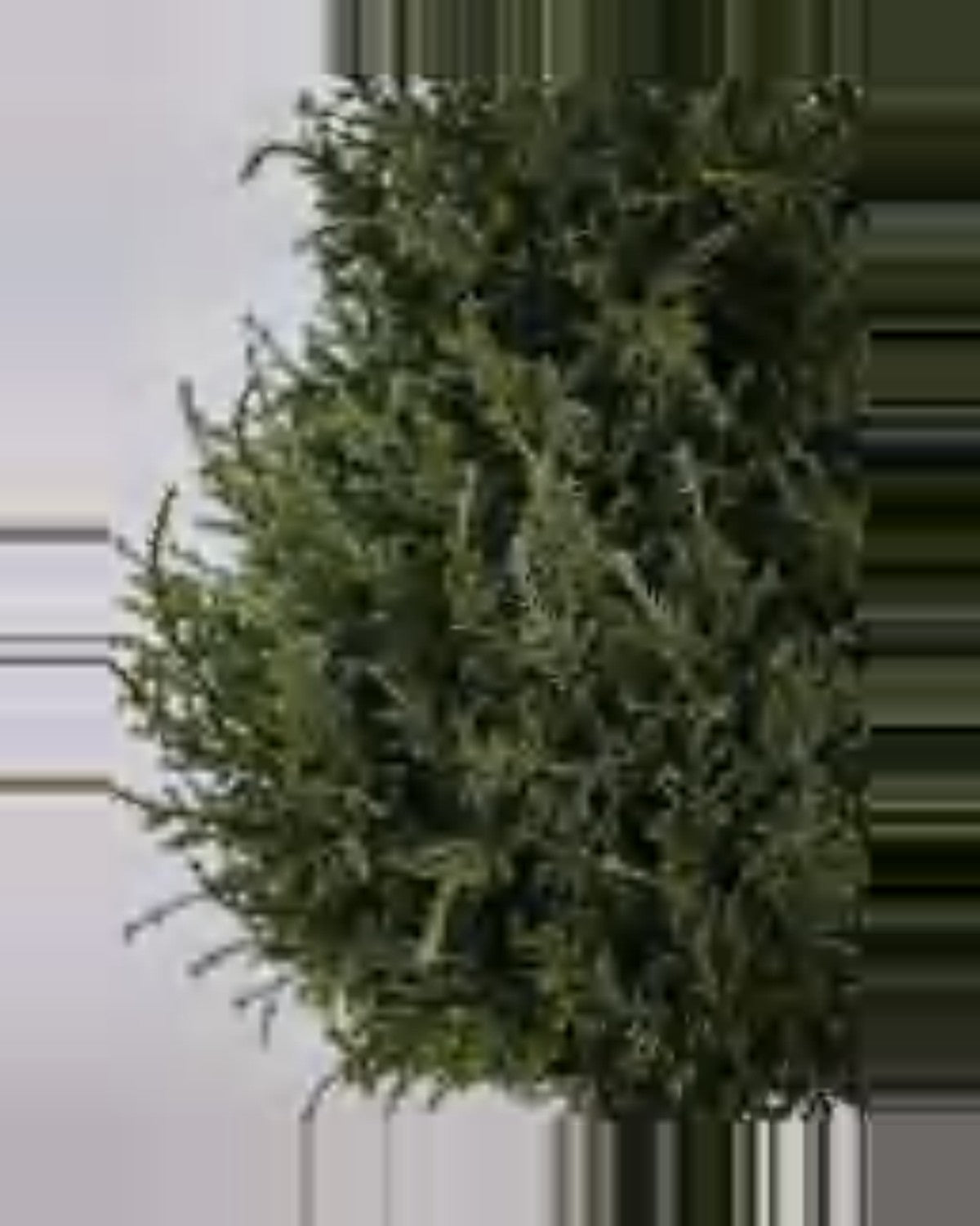 Bastide Cedar Plants Tree — close-up detail 3, artificial cedar plants tree