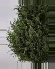 Bastide Cedar Plants Tree — close-up detail 3, artificial cedar plants tree