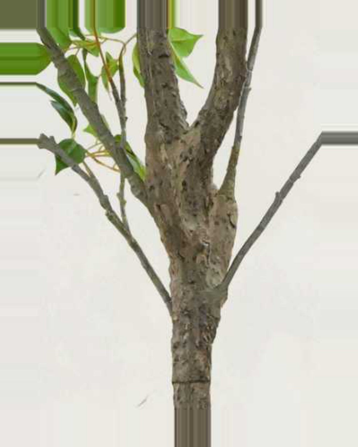 Estive Lucky Leaf Tree — close-up detail 3, artificial lucky leaf tree