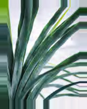 Estive Dracaena Plant — close-up detail 3, artificial dracaena plant