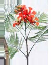Vallon Royal Poinciana Tree — close-up detail 3, artificial royal poinciana tree