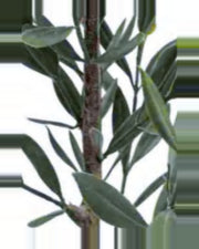 Salina Olive Tree — close-up detail 3, artificial olive tree