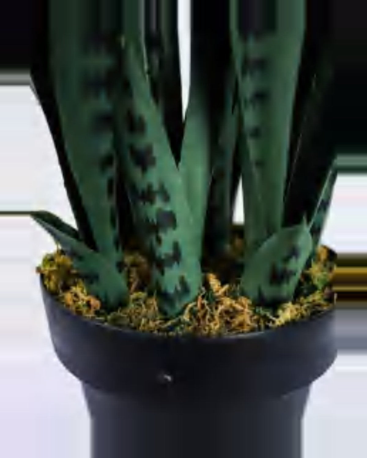 Restanque Snake Plant — close-up detail 3, artificial snake plant