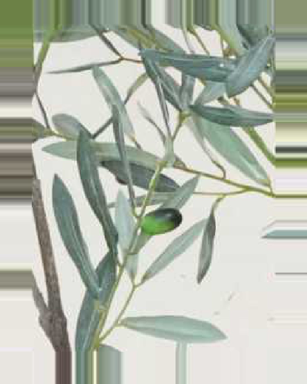 Taormina Olive Tree — close-up detail 3, artificial olive tree