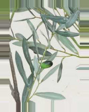 Taormina Olive Tree — close-up detail 3, artificial olive tree