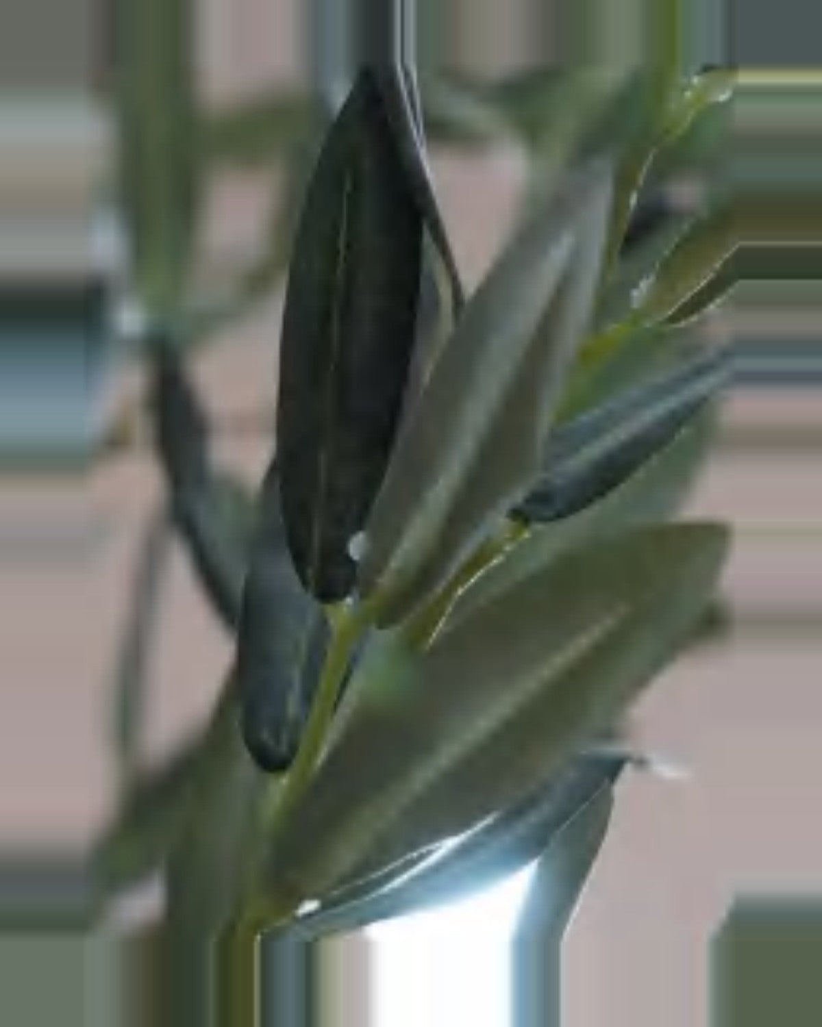 Matera Olive Fruit Leaf Tree — close-up detail 3, artificial olive fruit leaf tree