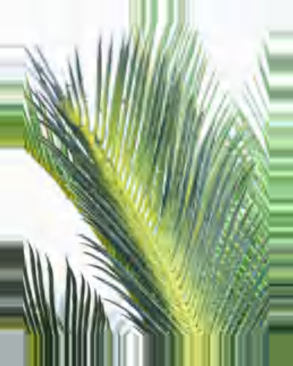 Borie Sago Palm — close-up detail 3, artificial sago palm