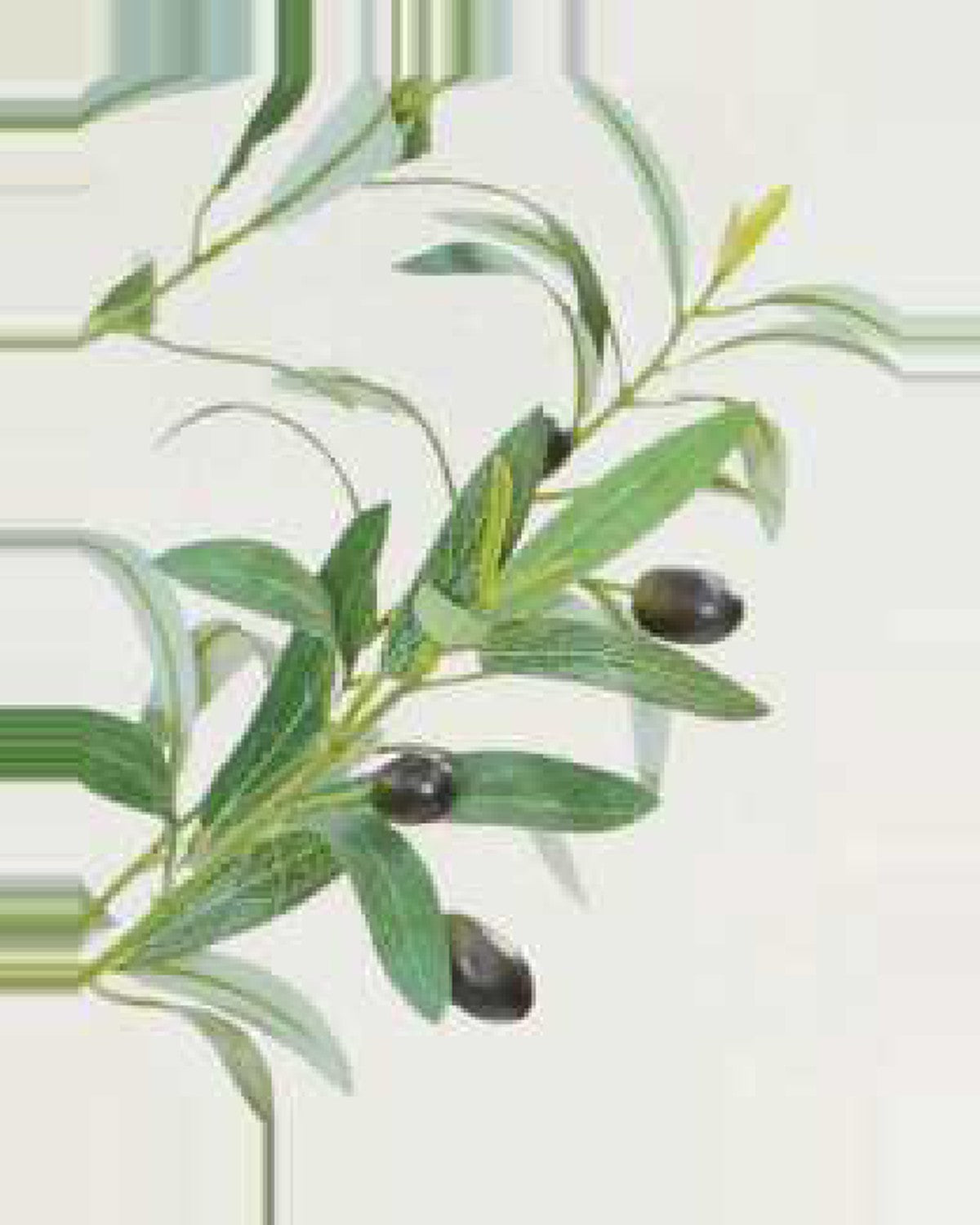 Ligurian Olive Fruit Leaf Tree — close-up detail 4, artificial olive fruit leaf tree