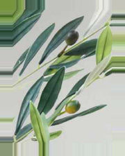 Orvieto Olive Fruit Leaf Tree — close-up detail 4, artificial olive fruit leaf tree