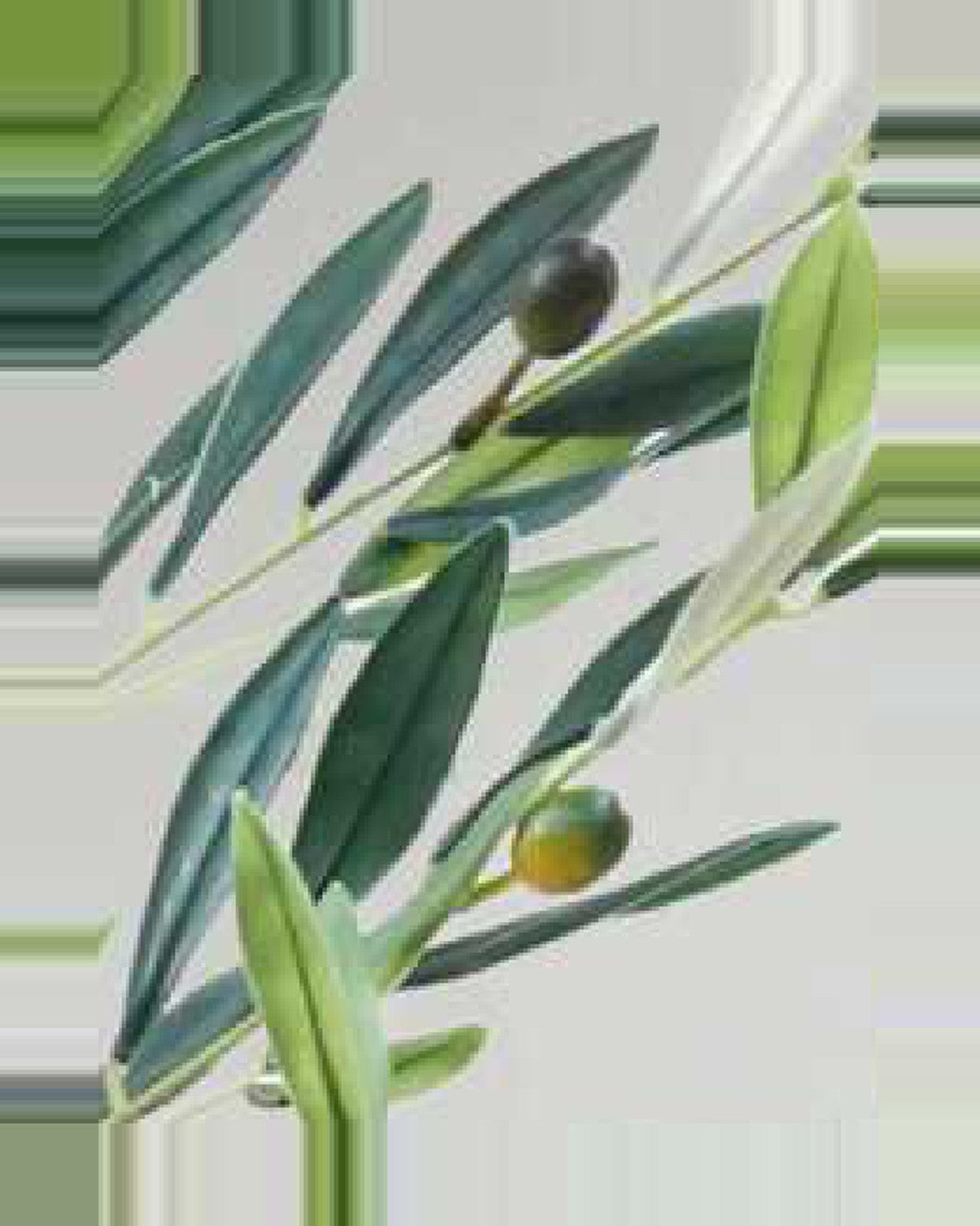 Orvieto Olive Fruit Leaf Tree — close-up detail 4, artificial olive fruit leaf tree