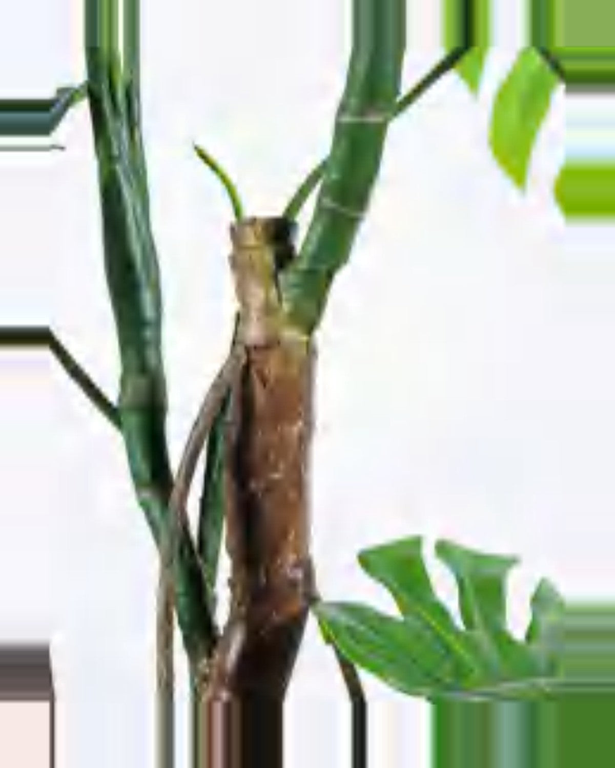 Sabbia Monstera Plant — close-up detail 4, artificial monstera plant