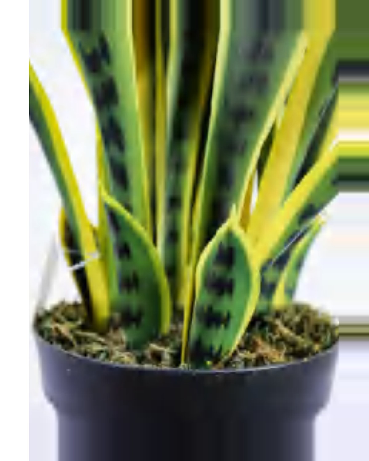 Ferrade Snake Plant — close-up detail 4, artificial snake plant