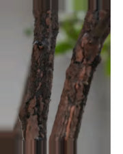 Sabbia Star Tree For Decor — close-up detail 4, artificial star tree for decor