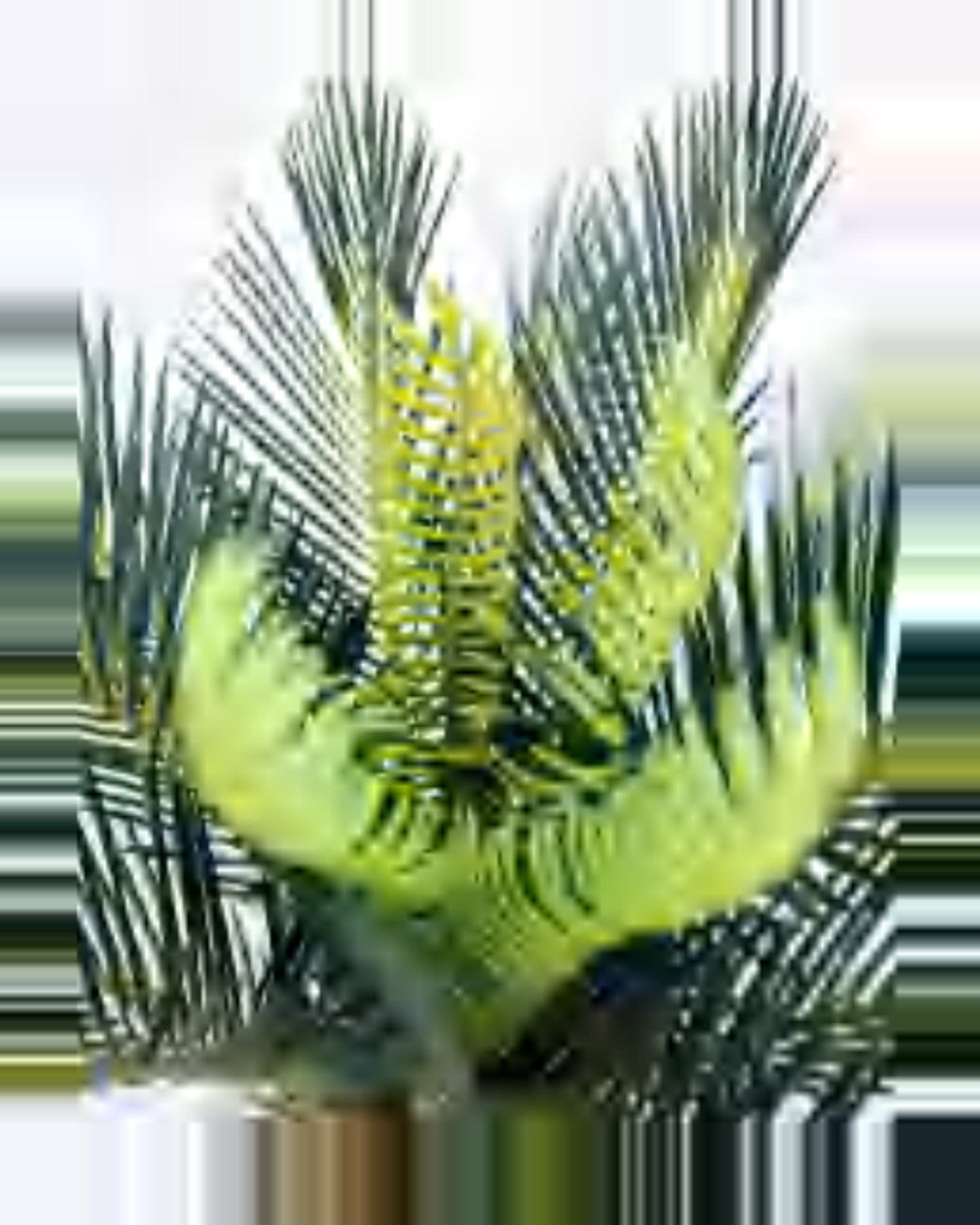 Draille Sago Palm — close-up detail 4, artificial sago palm