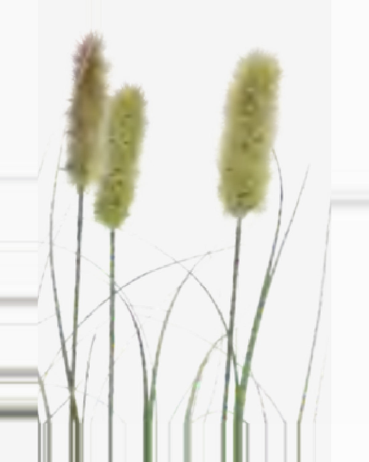 Argilla Onion Grass — close-up detail 4, artificial onion grass