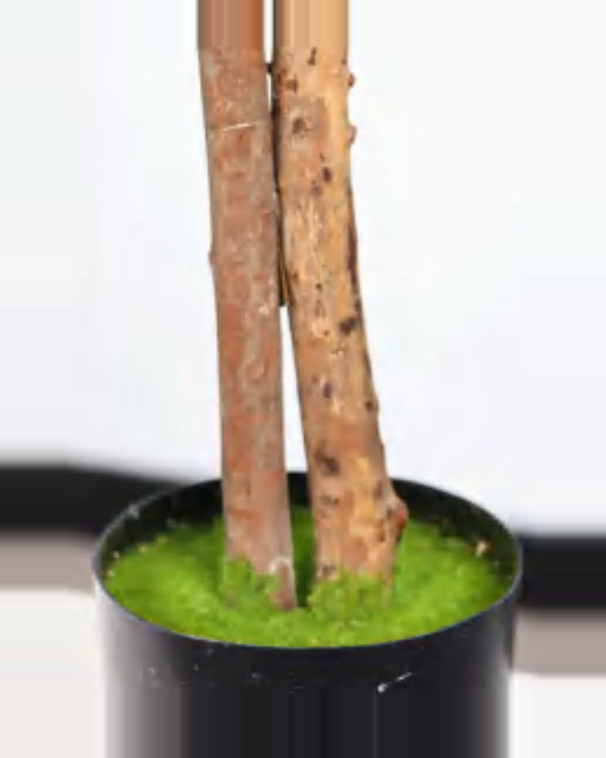 Luce Ficus Tree — close-up detail 4, artificial ficus tree