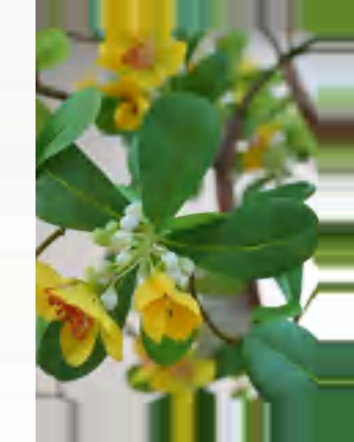 Aria Blooming Flower Tree — close-up detail 4, artificial blooming flower tree