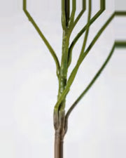 Vela Schefflera Tree — close-up detail 4, artificial schefflera tree