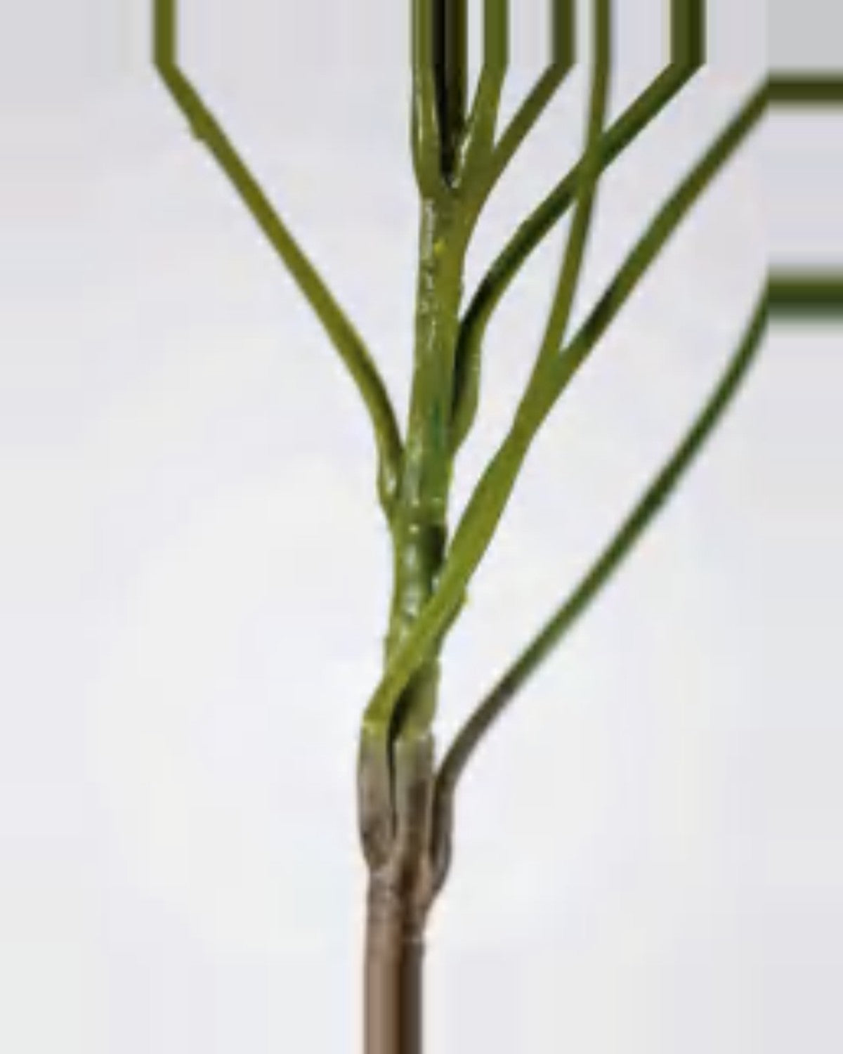Vela Schefflera Tree — close-up detail 4, artificial schefflera tree