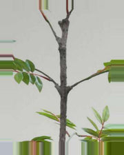 Terra Little Green Leaf Tree — close-up detail 4, artificial little green leaf tree