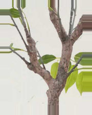 Alma Leaf Ficus Tree — close-up detail 4, artificial leaf ficus tree