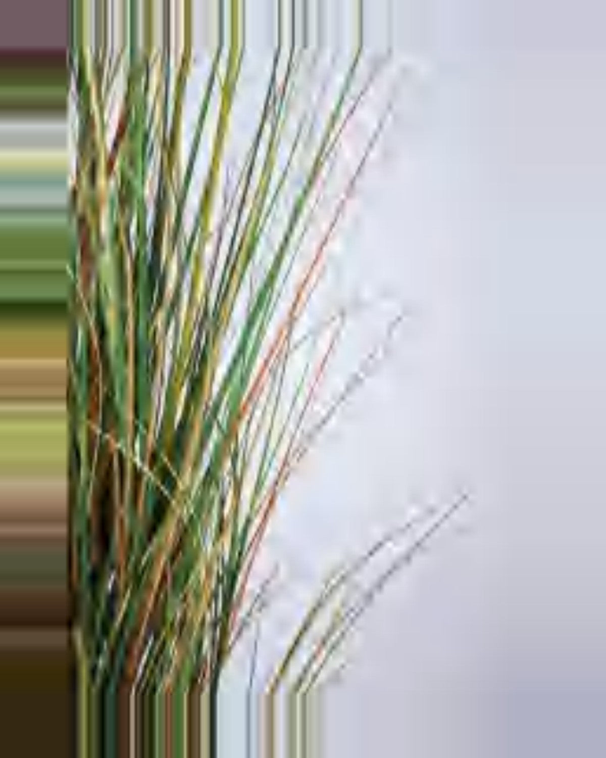 Pietra Onion Grass — close-up detail 4, artificial onion grass