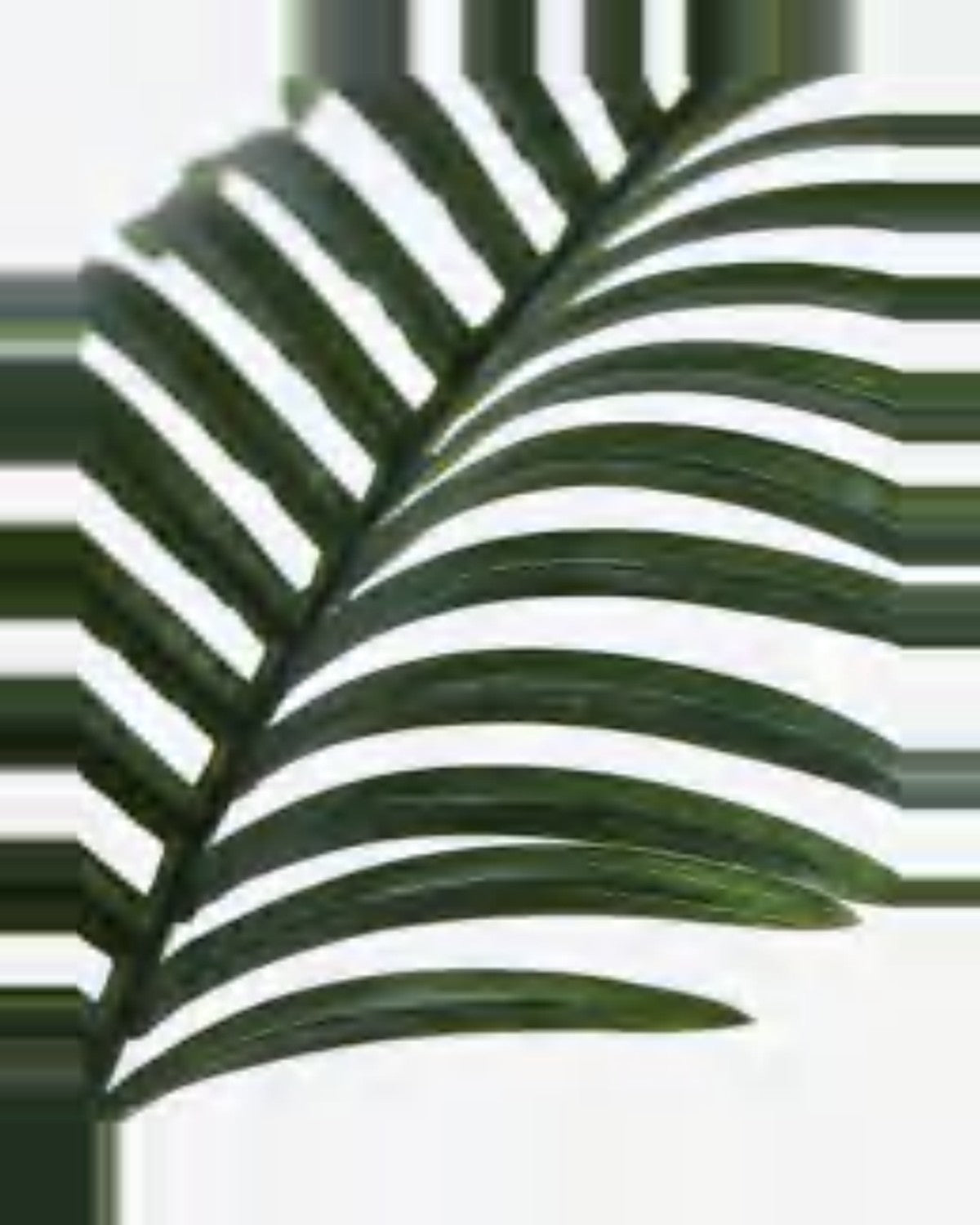 Garrigue Areca Palm Tree — close-up detail 4, artificial areca palm tree