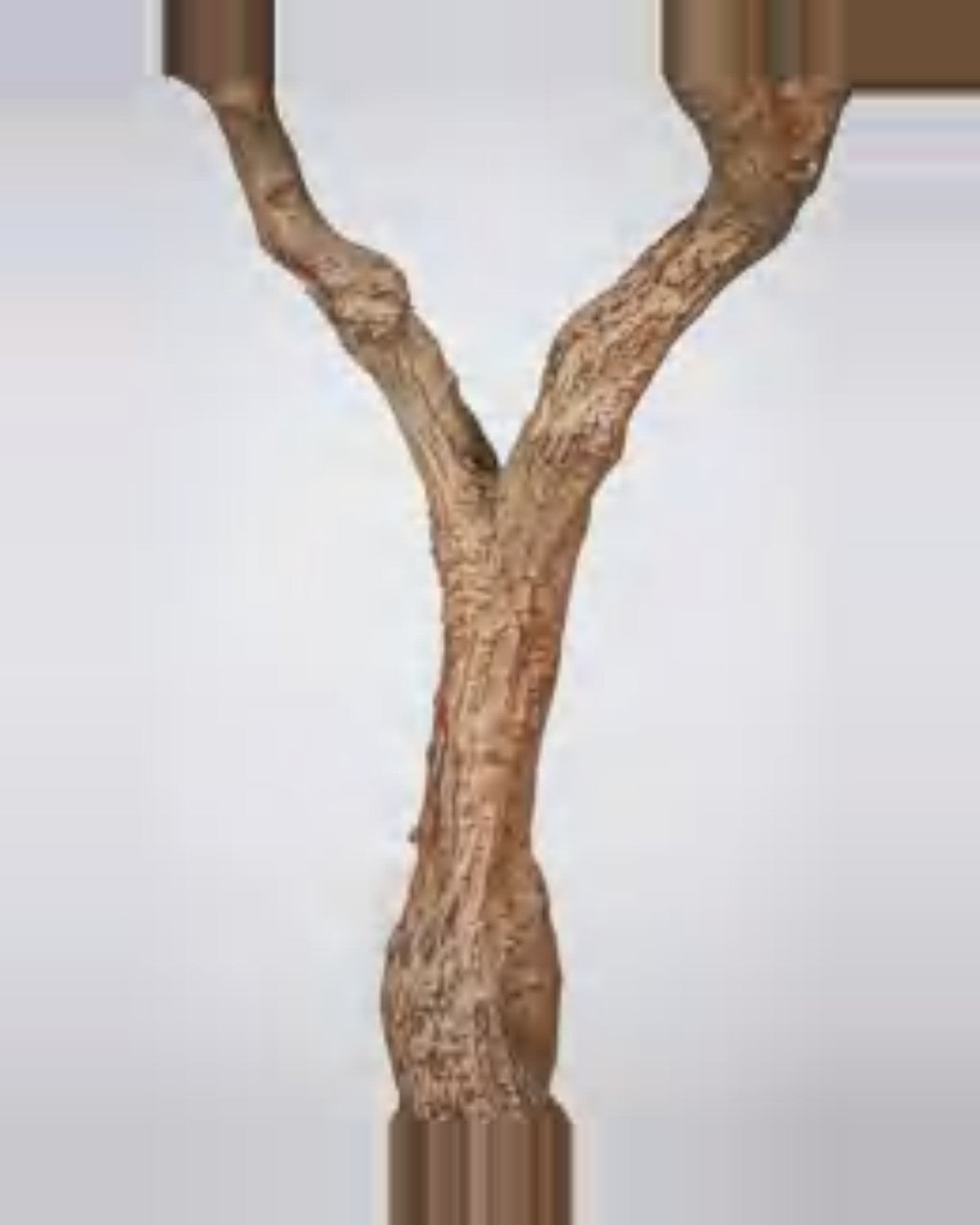 Pienza Olive Tree — close-up detail 4, artificial olive tree