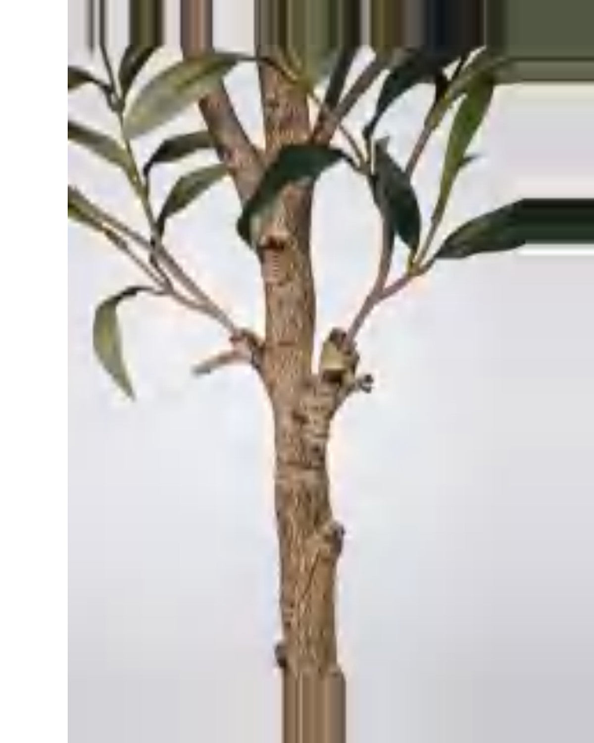 Procida Olive Tree — close-up detail 4, artificial olive tree