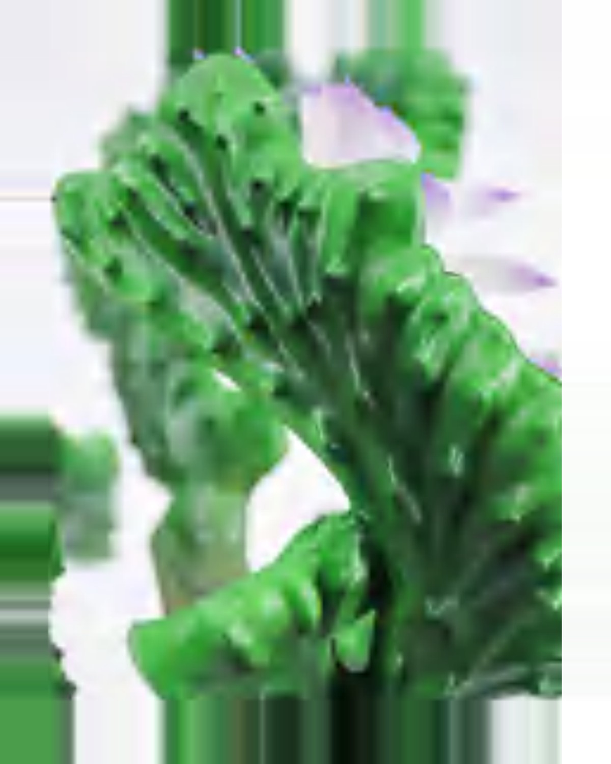 Vera Coral Cactus Plant — close-up detail 4, artificial coral cactus plant